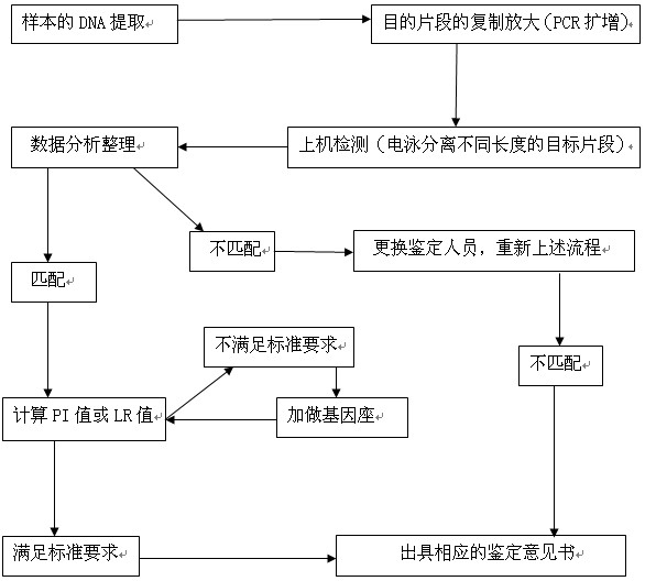 武汉DNA亲子鉴定检测流程，详细流程看下图