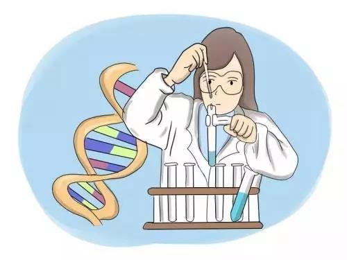 最佳的无创DNA基因检测在什么时间段