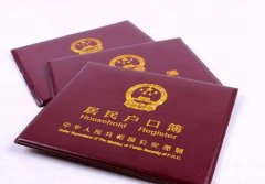 非婚生子怎么上户口一定要做亲子鉴定吗