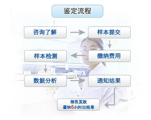 个人亲子鉴定流程