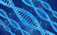 无创胎儿亲子鉴定的流程是什么？