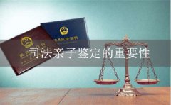 司法亲子鉴定为什么很重要？