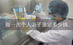 隐私亲子鉴定费用多少？（个人亲子鉴定费用）