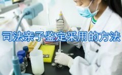 目前司法亲子鉴定采用的方法（司法亲子