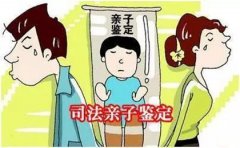 什么样的家庭矛盾需要寻求司法亲子鉴定