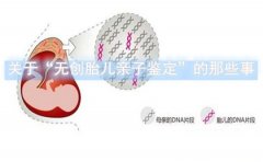 关于“无创胎儿亲子鉴定”的那些事