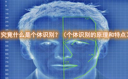 究竟什么是个体识别?(个体识别的原理和特点) 究竟什么是个体识别?(个体识别的原理和特点)