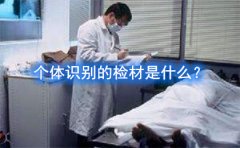 个体识别的检材是什么？