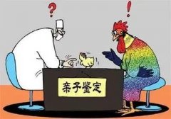 司法亲子鉴定的办理程序繁琐吗？