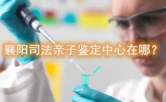 襄阳司法亲子鉴定中心在哪？