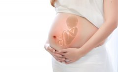 怀孕多久能做亲子鉴定（在武汉）？