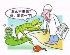 上海做亲子鉴定费用需要多少？