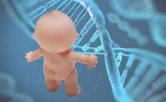 怀孕多久能做亲子鉴定？