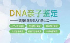 广州DNA亲子鉴定就到华大司法