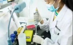 惠州司法亲子鉴定能用在什么地方？