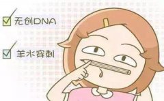 梅州想做胎儿亲子鉴定要多少钱？