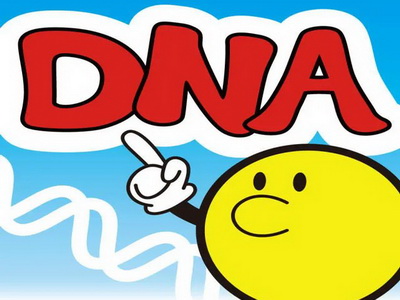 在鄂州如何做DNA亲子鉴定?