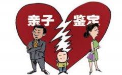 在广州要离婚该做什么亲子鉴定？