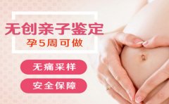 在广州要做胎儿亲子鉴定需要多少钱？