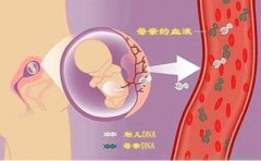 湛江人民医院能做胎儿亲子鉴定吗？（亲